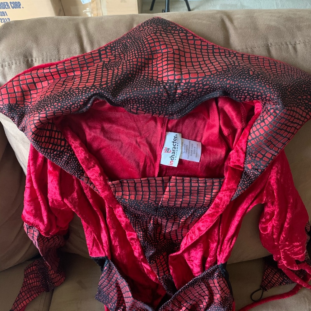 Seductive Devil Costume - image 4